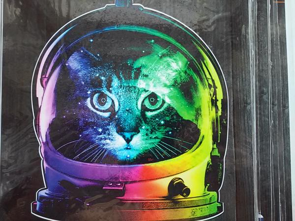 КОТИК В СКАФАНДРЕ
