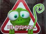 не дудиии...